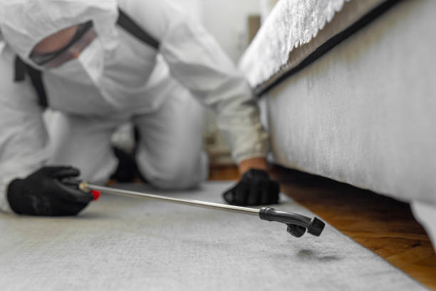 Professional Bed Bug Control technician working in Clarkston, GA